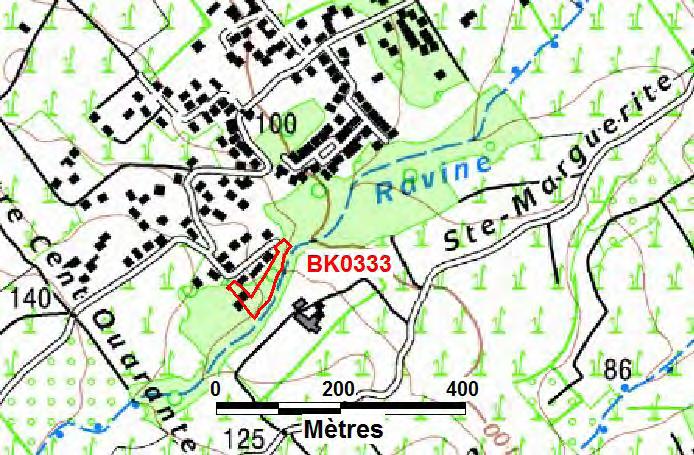 Parcelle BK0333 Le Cap Localisation : Figure 23 Localisation de la parcelle BK0333 ( IGN, Scan 25 ) Objet de la demande de la mairie de Saint-Benoît : Justification des aléas.