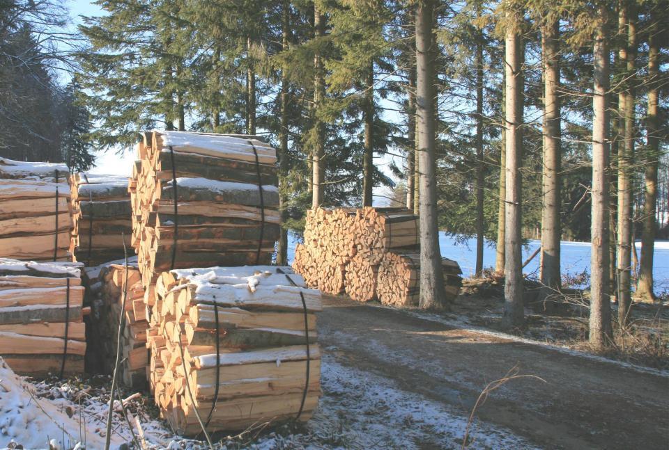 «Le bois comme source d énergie est un génie universel: propre, efficace, renouvelable et utilisable pour toutes sortes des installations.