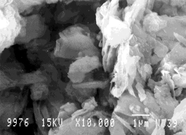 Cendres silico-calciques Chaudière LFC à 850 C Matière minérale sous