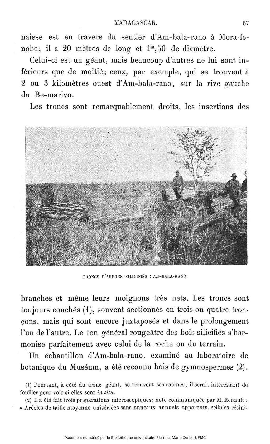 naisse est en travers du sentier d'am-bala-rano à Mora-fenobe; il a 20 mètres de long et l m,50 de diamètre.