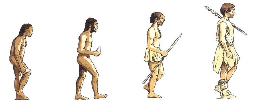 2. L origine de l humanité [2] Doc.1. Les premiers hommes [d après Dossier Hachette] Homo habilis (homme habile) vit en Afrique orientale. Homo erectus (homme debout) vit en Europe et en Asie.