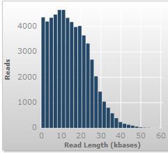 Reads of Insert Reads of Insert Read length increase 147 SMRT on 1st sunflower genome: N50 15365 800 Mb / SMRT