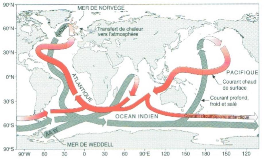 3. La circulation océanique profonde 2. Quelle est l orientation générale de la circulation océanique profonde?
