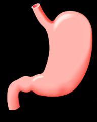 rglp-1 vidange gastrique Les effets SUR LA SÉCRÉTION HORMONALE