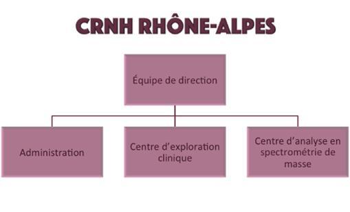 Pagination : 4 / 11 Le CRNH Rhône-Alpes possède trois entités mises à disposition des équipes de recherche : le centre d exploration clinique, le centre d analyse en chromatographie et spectrométrie