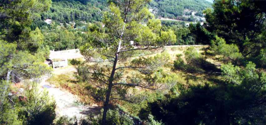 Photos prises lors d une visite terrain en 2001 (Des Garets, 2001).