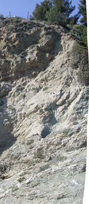 (observation terrain au Pradet (Var), mars 2003) Illustration 29 : Affleurement des phyllades sous leur forme altérée, photo de droite zoom sur