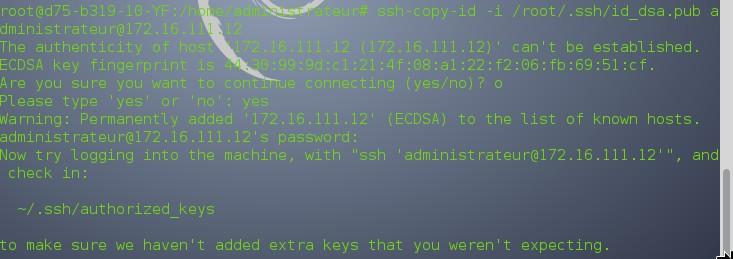 Saisie de la passphrase Passphrase : adminpwd Nous exportons ensuite la clé publique du client sur le serveur distant à utiliser avec SSH.