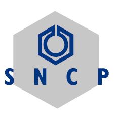 Dossier de retour d expérience du SNCP Réf : SNCP/REX-ENV/04-2007/VC Objet : Incendie dans un entrepôt de stockage de pneumatiques Effet favorable d une installation d extinction automatique de type