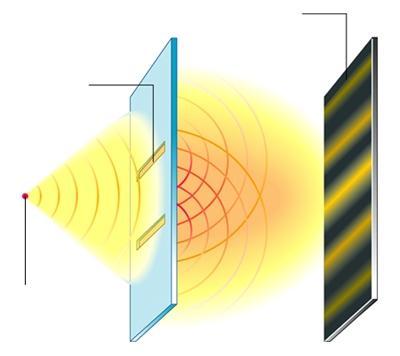 Le phénomène d interférences lumineuses Elles résultent de la superposition de deux ondes lumineuses issues deux