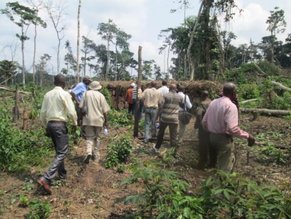 Visite conjointe MECNT-CSB-Coord/PO/Environnement-Police Nationale Congolaise dans RF/Masako, Dans la cadre de monitoring de la gestion de la biodiversité, en juin 2013, le CSB avait élaboré un