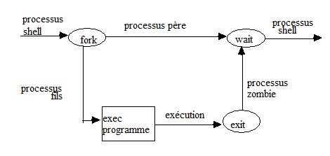 14 Création d'un processus pour exécuter un programme création appel système fork() exécution des commandes : appel
