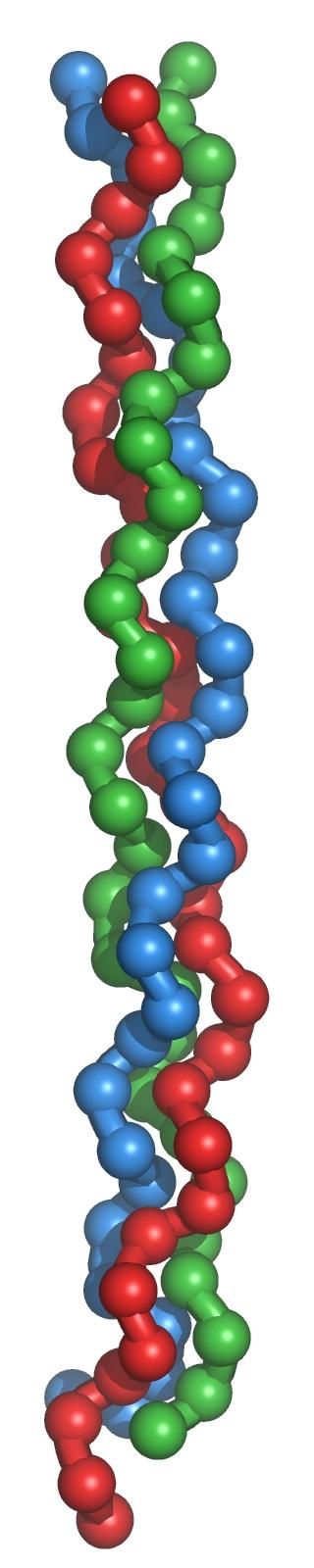 Exemple de protéine globulaire : forme compacte
