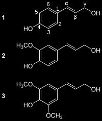 phénylalanine, acide aminé de