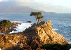 Tour Authentik Cours de surf en français Survol en hélicoptère Jour 25 : San Francisco / Monterey (193 km / 02h11) Profitez de la matinée pour continuer votre découverte de San Francisco.