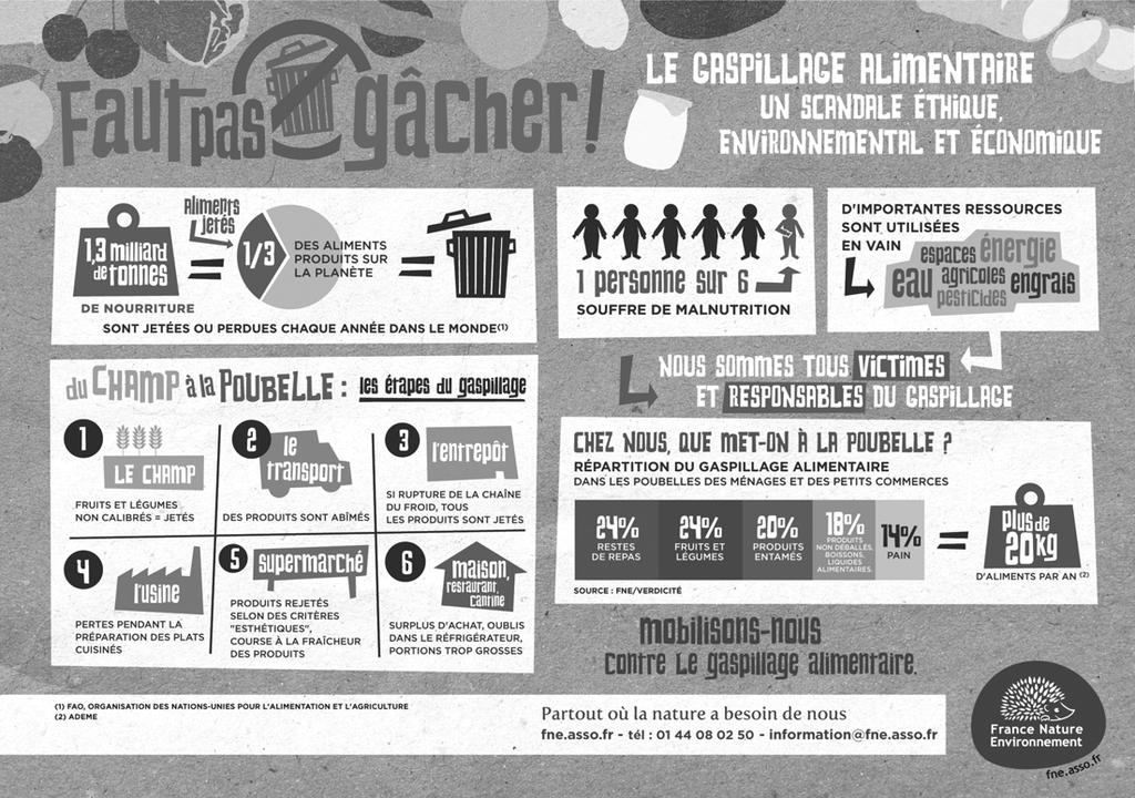 DOCUMENT 1 Source : France Nature Environnement. Le scandale du gaspillage alimentaire. In : site fne.asso.fr.