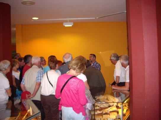 Visite guidée du Musée de Préhistoire et visite libre des Premiers Habitants de l Europe : 8 par personne Visite guidée