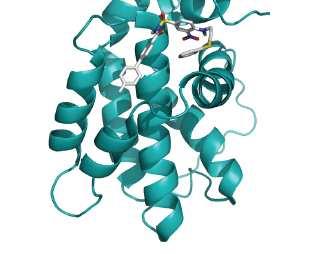 Les interactions protéïne-ligand Règles de Lipinski et «drugabilité» «Un des points qui nous distingue des générations précédentes, c est que nous, nous avons vu nos