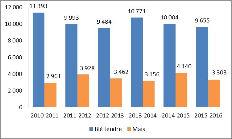 Echanges extérieurs de la France Poids des exportations sur les volumes collectés 2 (campagne 2014/2015): Blé tendre : 56% dont 60% hors Union européenne Maïs : 31% dont 95% vers l Union européenne
