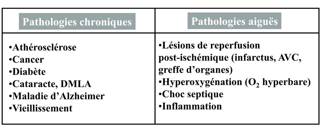 3-2 l'adaptation de la cellule aux stress oxydant (exemples) Etats pathologiques