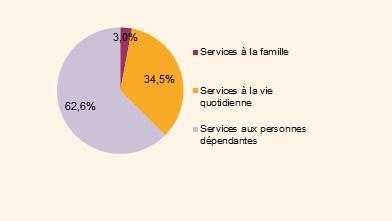 Répartition du volume d heures déclarées par les organismes prestataires en 2014 en Poitou Charentes, selon le type de services Source : Base nova Si la part des activités des services aux personnes