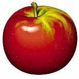 Fruits : 51-92 -pomme
