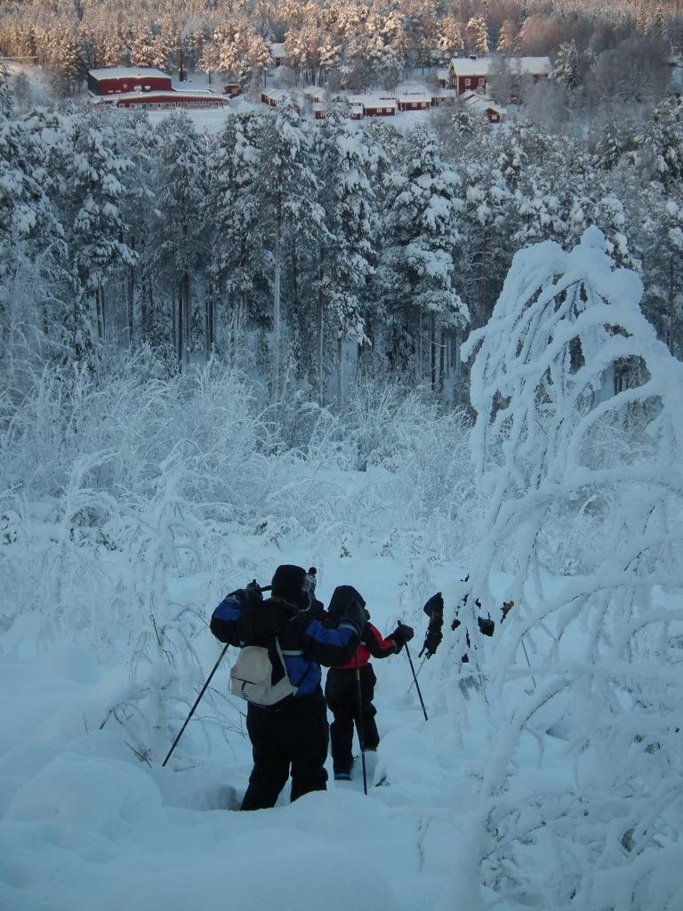Le guide sera devant et ouvrira le chemin jusqu à l hôtel de glace «Arctic» que vous visiterez. Belles photos garanties!