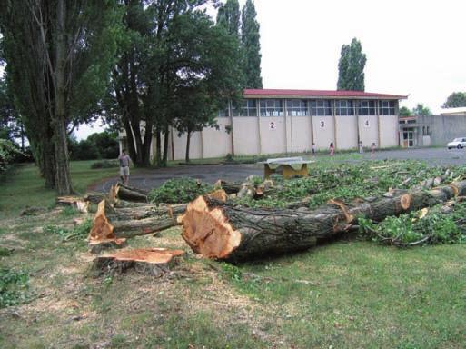 La démolition de l ancien gymnase L ancien gymnase du Lycée professionnel «Le Salève» a été détruit pendant