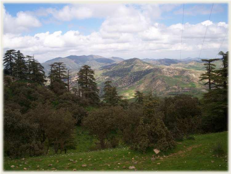 Inventaire satellitaire des ressources forestières en région Sud-méditerranéenne Etude de trois exemples de forêts algériennes BENCHERIF kada BP 119, Département des sciences de l agronomie et des