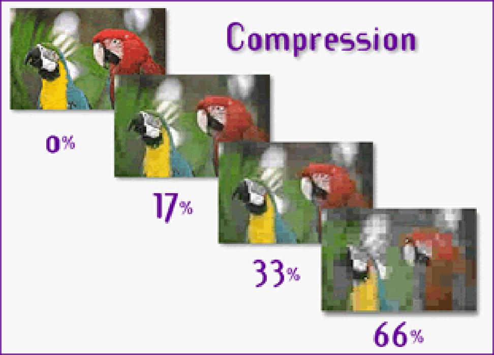 Note technique Le taux de compression moyen varie entre 10:1 et 20:1. La norme JPEG est définie comme la norme ISO 10918.
