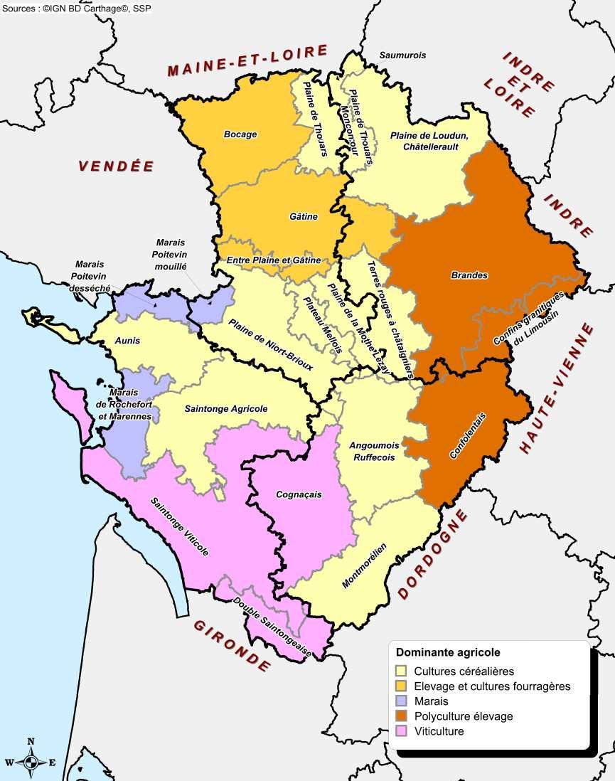 La Région Poitou-Charentes 212 Rappel 2 SAU 1 725 ha 1 777 ha Nombre d'exploitations 25 35 Grandes cultures 147 ha 112 ha Surfaces fourragères 518 ha 543 ha