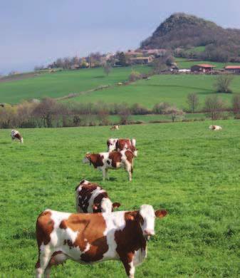 L agriculture biologique poursuit sa progression puisqu en 215, la Haute-Loire compte 319 exploitations engagées (+ 12 % par rapport à 214) sur les 4 219 que compte la région Auvergne-Rhône-Alpes.