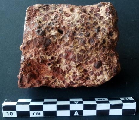 2.2 : Exemple d une ressource géologique exploitée au sud de Brignoles Le document 5.a présente la roche A, qui affleure au sud de Brignoles ainsi qu en de nombreux autres sites de Provence.
