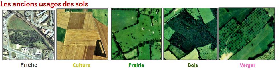 1. La consommation des terres agricoles induite par l urbanisation récente en Basse-Normandie : résultats et