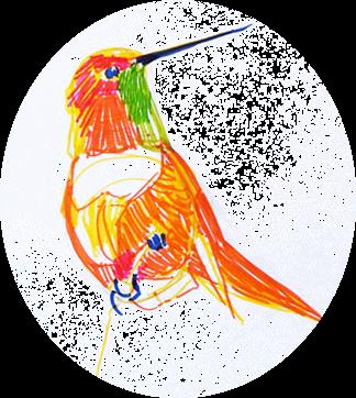 SUR LE ROC OCTOBRE-NOVEMBRE-DECEMBRE 2017 N 219 Regard partagé Pour faire le portrait d un oiseau Pour faire le portrait d un oiseau Peindre d abord la cage Avec une porte ouverte Peindre ensuite