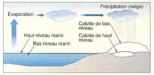 Mise en évidence des variations du niveau de la mer au cours des temps géologiques Les variations du niveau de la mer modifient la surface des terres émergées.