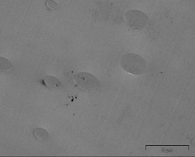 5 µm 35% I Haut de l échantillon Fond de l échantillon Figure A1-8: Photos TM d un mélange DGBA/MCDA 35% et 50% en masse d I69 polymérisé 11 heures à 135 C.
