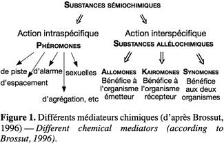 Sémiochimie Langage chimique qui supplée au manque de détection des sens Sémiochimique = Molécule organique, synthétisée par un organisme (animal), et porteuse d une information olfactive destinée à
