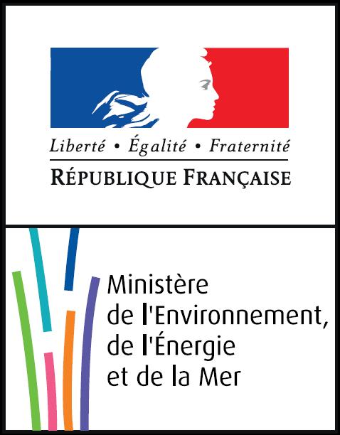 Ministère de l Environnement, de l Énergie et de la Mer Direction générale de l énergie et