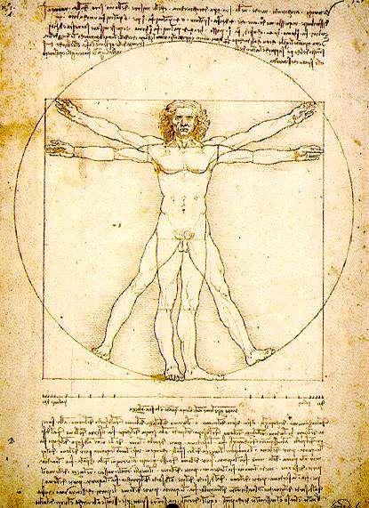 Une curiosité anatomique :L homme de Vitruve «La nature a distribué les mesures du corps humain comme ceci : 4 coudées font la hauteur d un homme; et il illustre ces mesures dans ses constructions.