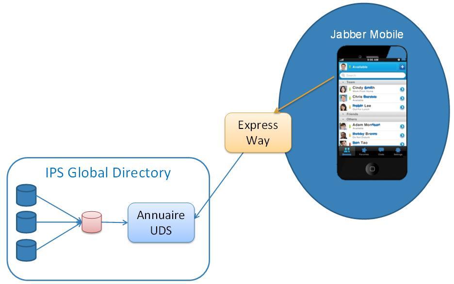 IPS Global Directory permet également d émuler l annuaire UDS de CUCM. Ceci offre une solution intéressante pour Visio phones D, pour Jabber et surtout Jabber Mobile.