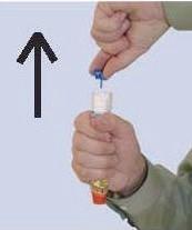1. Prenez EpiPen dans votre main dominante (la main utilisée pour écrire), avec votre pouce près de l opercule bleu et
