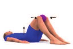 Élévation de talons / développé de jambes Garder le dos