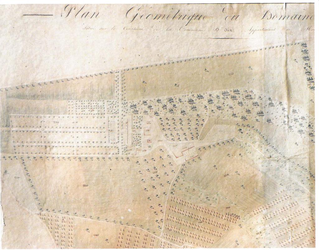 Plan géométrique du domaine de Galice -1830