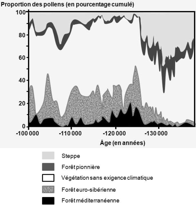 Document 5 : données palynologiques relevées au Portugal Document 5.a : étude des proportions de pollens de végétaux regroupés selon les affinités climatiques. D après N.J. Shackleton et al.
