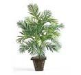 Escompté Régulier Discount Regular 0110 Plantes tropicales vertes / Green tropical plants (3' 5'
