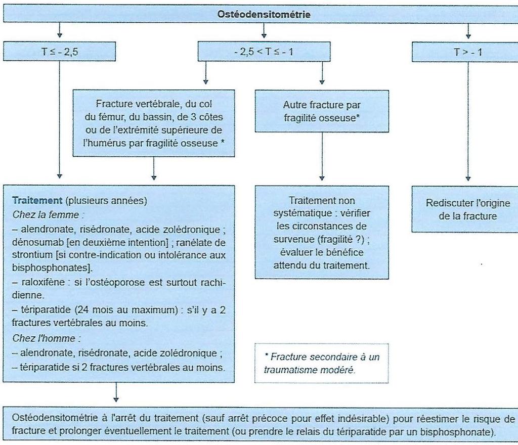 En cas de fracture évocatrice d ostéoporose : tableau 2 (HAS 2014) Chez un patient sous corticothérapie : tableau 3 (HAS 2014) La question d'un traitement