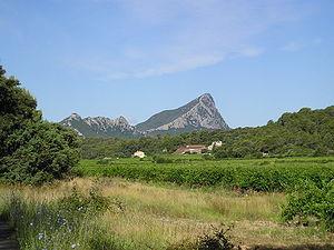 L histoire de Pic St-Loup La vigne cultivée dans le Languedoc est introduite par les Phocéens, puis développée par l Empire Romain. Le label "VDQS" est entériné en 1955.