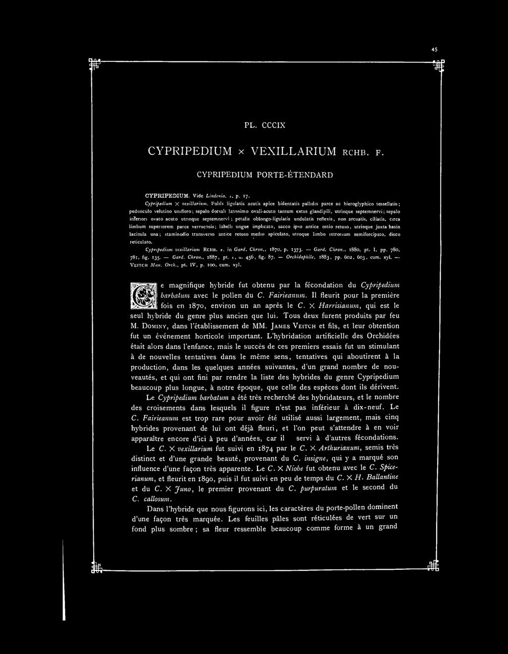 PL. CCCIX CYPRIPEDIUM x VEXILLARIUM RCHB. F. CYPRIPEDIUM PORTE-ÉTENDARD CYPRIPEDIUM. Vide Lindenia, p. 17. Cypripedium X vexiltarium.