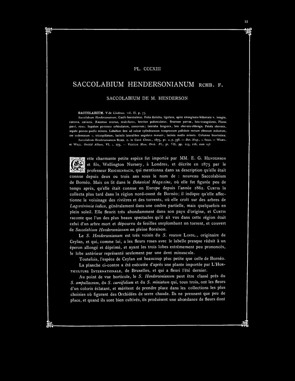 PL. CCCXIII SACCOLABIUM HENDERSONIANUM RCHB. F. SACCOLABIUM DE M. HENDERSON SACCOLABIUM. Vide Lindenia, \ol. II, p, 73. Saccolabium Hendersonianum. Caulis brevissimus.